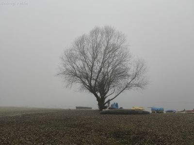 Köd, zúzmara, szürke idő: szilveszterkor sem lesz különb