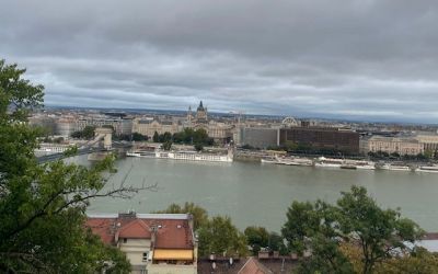 MOHU: A megszokott rend szerint szállítják el a hulladékot újévkor is