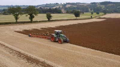 Özönlenek a magyar fiatalok ebbe a szektorba: mégis, mi ütött beléjük?