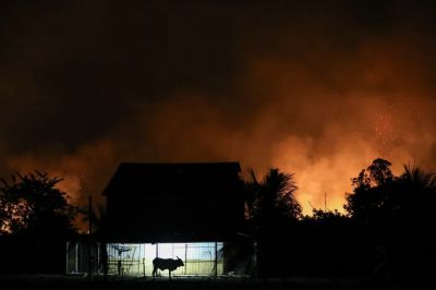 17 éve nem volt ennyi erdőtűz a brazil esőerdőben