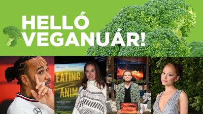 5 szuper ok, amiért idén ki kell próbálnod a Veganuárt!  