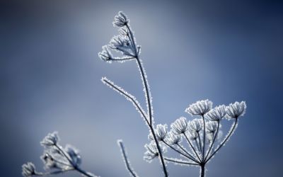 Átlagosnak mondható a decemberi időjárás az ország nagy részén