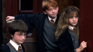 Ezzel a jelenettel nem békült ki az első két Harry Potter film rendezője