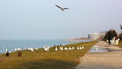 Rendkívüli hőmérsékleti kontraszt alakult ki a Balatonnál (VIDEÓ)