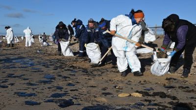 Önkéntesek dolgoznak a tartályhajók balesete nyomán olajjal szennyezett partvonal megtisztításán