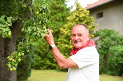 Beperelték Nagy Ferót: százezreket akarnak fizettetni vele