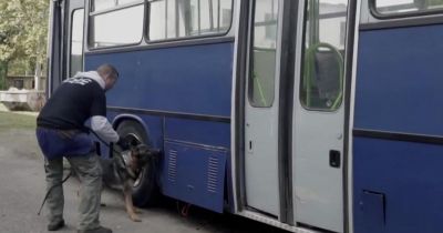 Hungarikum: megjavították az évek óta egy helyben álló buszt, majd ellopták – videó