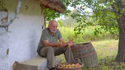 Kovács Gyula és az 1100 ősi almafa