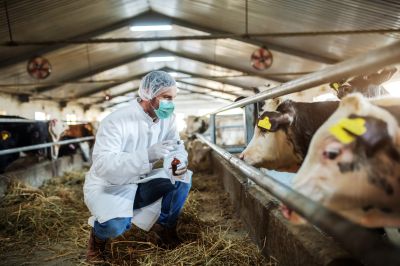 Szükségállapotot hirdettek Kaliforniában a madárinfluenza miatt