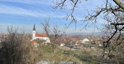 Téli varázsvilágra leltünk a Pátyi Pincehegyen – a főváros tövében kirándultunk