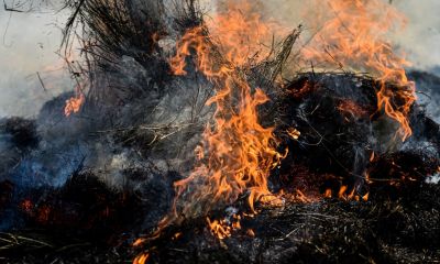 Lakástűzben meghalt egy ember Szegeden