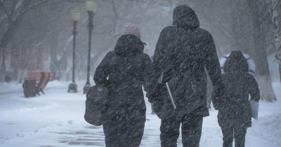 Mindjárt vége a tavaszi idillnek: még a héten visszatér az igazi tél, hózáporokra készülhetünk