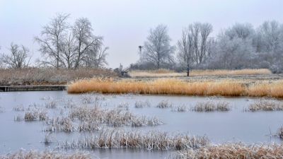 Fotósorozat: ellenáll a természet a Fertő-tavi betonozásnak