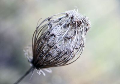 Hajdú-Biharban 10 Celsius-fokot csökken a hőmérséklet