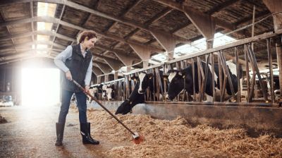 Itt a felmérés arról, elegendőnek tartják-e a termelők az uniós támogatásokat