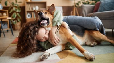 Felnőtt színező vagy egy kutya: melyik a jobb stresszcsökkentő?