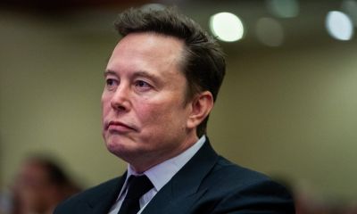 Musk megint beleavatkozik: legőrültebb dolog amit ma Németország csinál