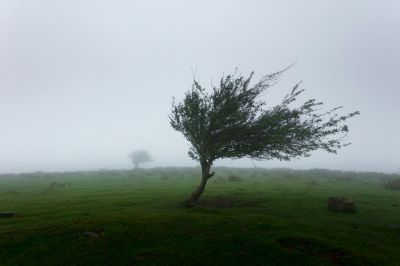 Valahol hó, valahol szél miatt adtak ki figyelmeztetést a meteorológusok