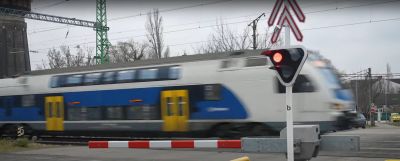 Szarvast gázolt a vonat Vép és Porpác között, nem megy tovább az InterCity