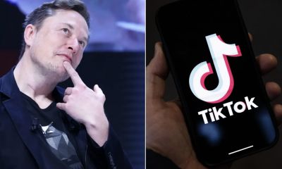 Lehet, hogy megveszi a TikTokot Elon Musk