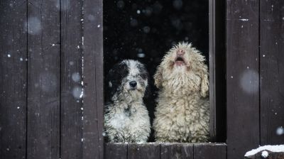 Orvosmeteo: okklúziós fronttal jön az újabb hó