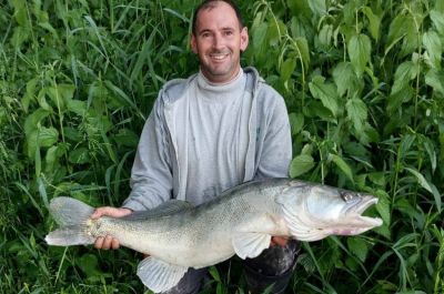 Levágott fejű snecit kívánt meg a közel 10 kilós dunai süllő – fotókkal