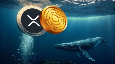 Az XRP új történelmi csúcsot céloz meg a nagy bálna-tevékenység közepette, miközben új utility token jelenik meg