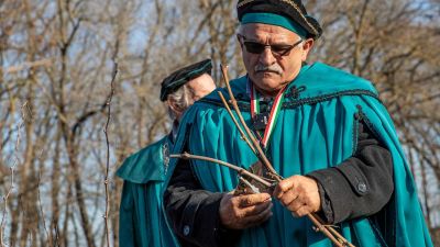 Vince-napi vesszővágásra várják a látogatókat az ópusztaszeri emlékparkban