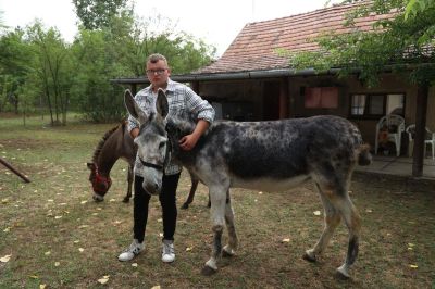 Tűz ütött ki a szamaras Koszonits Patrikék tanyáján a hétvégén