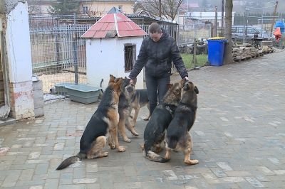 Nagy dolgokat szimatolhatunk mostanában Ózdon