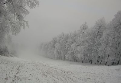 Nap képe: téli világ Dobogókőn