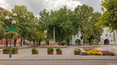 Hihetetlen, milyen növények lephetik el ezt a magyar térséget: mi történik itt?