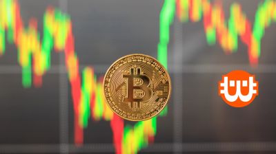 Mit tanulhatunk a Bitcoin HODLing trendjeiből?