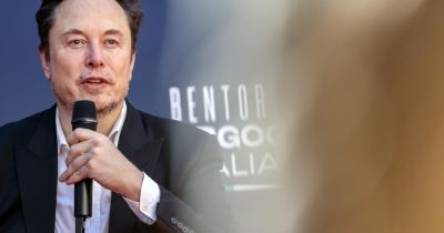 Élesen bírálták Elon Musk Németországgal kapcsolatos kijelentését