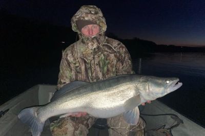 Óriási süllőkkel jutalmazta meg a Duna a kitartó horgászokat