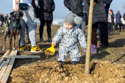 Kicsik és nagyok is lapátot ragadtak Debrecenben 