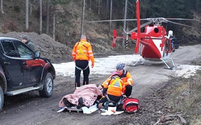 Medve támadt egy 39 éves férfira, mentőhelikopterrel szállították kórházba