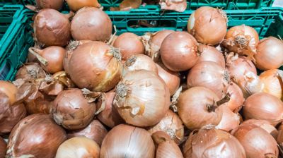 Hódít az őrület a magyar földeken: egyre többen termelnek ilyen növényt